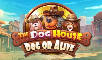 Slot Demo The Dog House Dog Or Alive